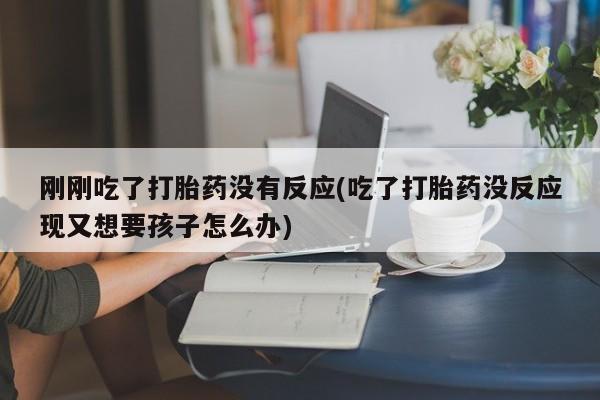 哪里可以私下卖到打胎药刚刚吃了打胎药没有反应(吃了打胎药没反应现又想要孩子怎么办)