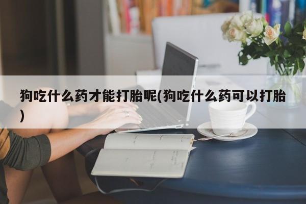 哪里可以私下卖到打胎药狗吃什么药才能打胎呢(狗吃什么药可以打胎)