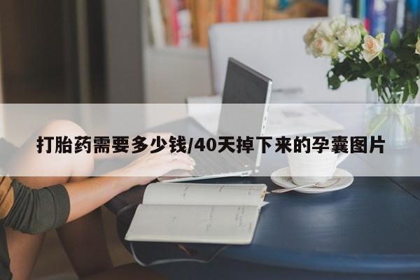 哪里可以私下卖到打胎药打胎药需要多少钱/40天掉下来的孕囊图片