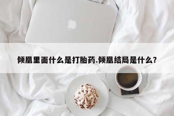 哪里可以私下卖到打胎药倾凰里面什么是打胎药.倾凰结局是什么？